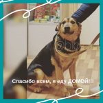 Дозор поверил в то, что его жизнь изменилась